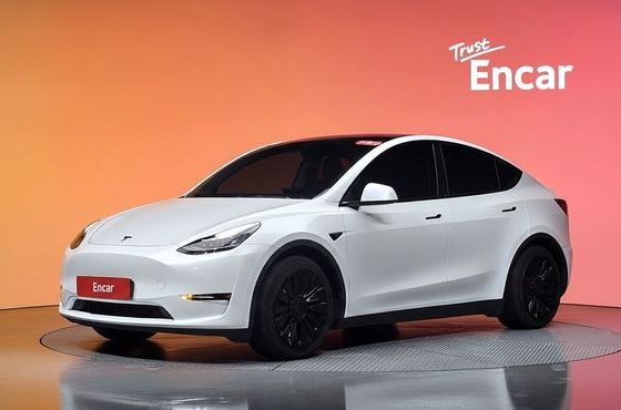 Tesla Model Y Long Range AWD — пробег 72 763 км — фото 1 из 5