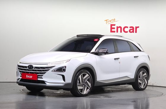 Hyundai Nexo Premium — пробег 42 101 км — фото 1 из 5