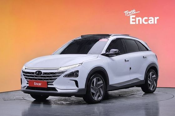 Hyundai Nexo Premium — пробег 58 949 км — фото 1 из 5