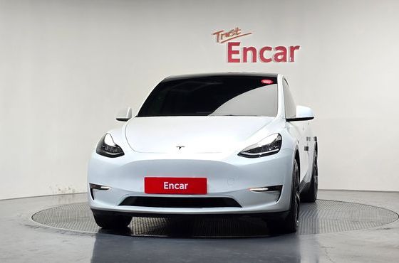 Tesla Model Y Long Range AWD — пробег 61 704 км — фото 3 из 5