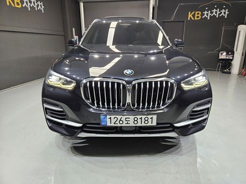 BMW X5 xDrive 30d xLine — пробег 173 000 км — фото 3 из 5