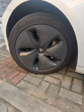 Tesla Model 3 Standard Range Plue RWD — пробег 96 100 км — фото 5 из 5