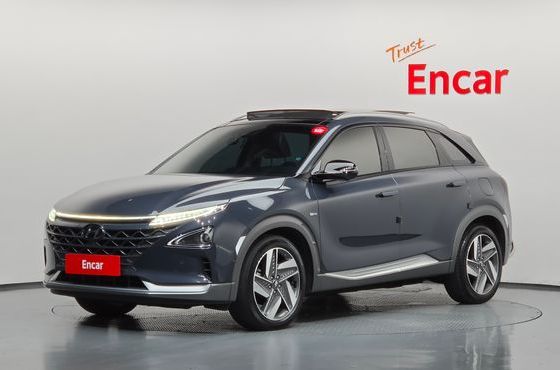 Hyundai Nexo Premium — пробег 38 389 км — фото 1 из 5