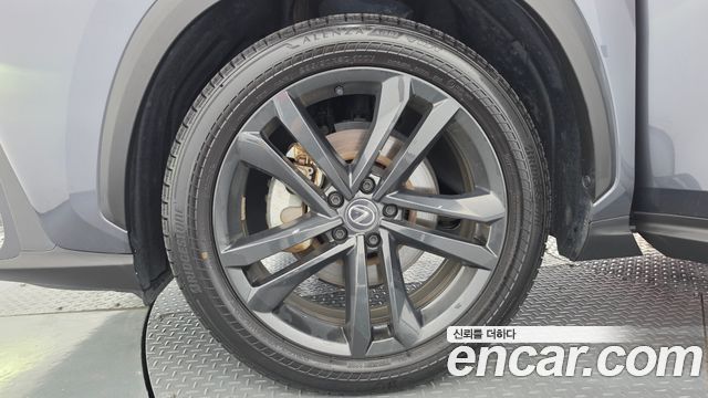 Lexus NX Premium — пробег 32 584 км — фото 5 из 5