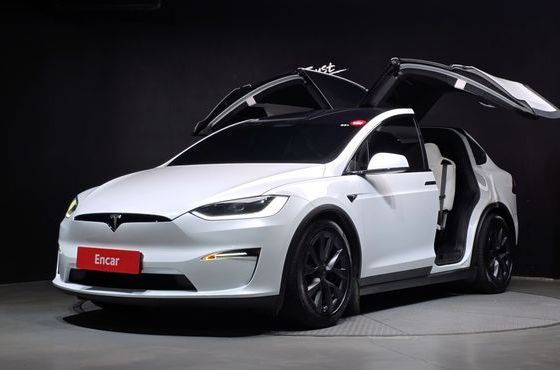 Tesla Model X AWD — пробег 52 650 км — фото 1 из 5