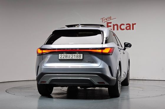Lexus RX Luxury — пробег 16 608 км — фото 4 из 5