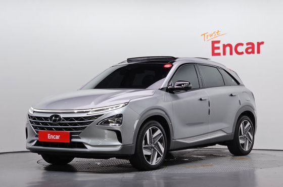 Hyundai Nexo Premium — пробег 45 856 км — фото 1 из 5