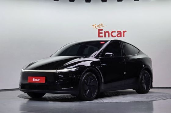 Tesla Model Y Long Range AWD — пробег 15 515 км — фото 1 из 5