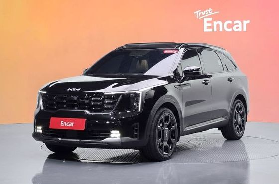Kia Sorento Gasoline 2.5T 4WD Gravity — пробег 21 137 км — фото 1 из 5