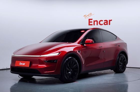 Tesla Model Y Long Range AWD — пробег 36 615 км — фото 1 из 5
