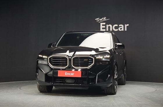 BMW XM 4.4 — пробег 28 313 км — фото 3 из 5