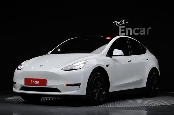 Tesla Model Y Long Range AWD — пробег 79 437 км — фото 1 из 5