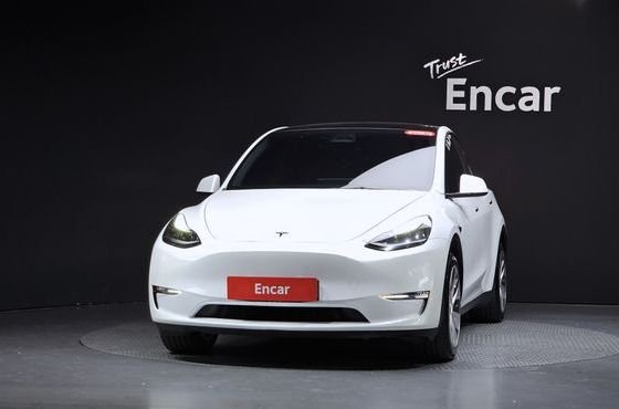 Tesla Model Y Long Range AWD — пробег 50 957 км — фото 3 из 5