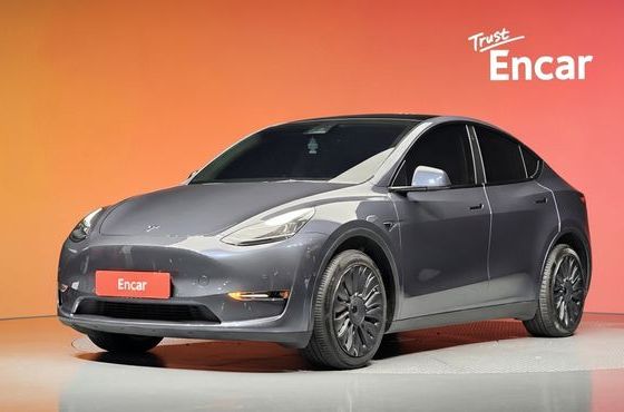 Tesla Model Y Long Range AWD — пробег 98 925 км — фото 1 из 5