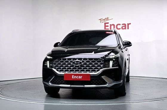 Hyundai Santafe Diesel 2.2 2WD Prestige — пробег 49 106 км — фото 3 из 5