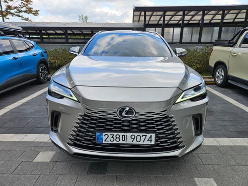 Lexus RX Luxury — пробег 13 322 км — фото 1 из 5