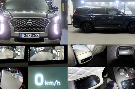 Hyundai Palisade Gasoline 3.8 4WD VIP — пробег 73 650 км — фото 1 из 5