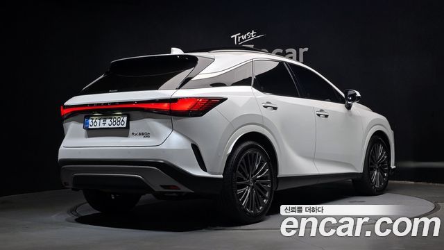 Lexus RX Luxury — пробег 14 256 км — фото 2 из 5