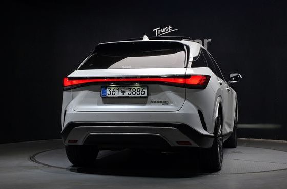 Lexus RX Luxury — пробег 14 256 км — фото 4 из 5