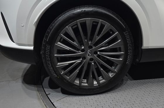 Lexus RX Luxury — пробег 14 256 км — фото 5 из 5