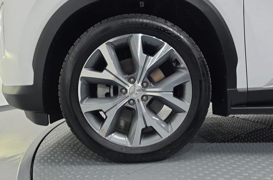 Hyundai Palisade Diesel 2.2 2WD Prestige — пробег 67 191 км — фото 5 из 5