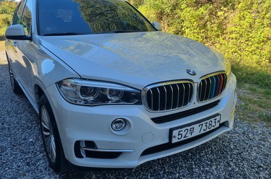 BMW X5 xDrive 30d — пробег 397 840 км — фото 1 из 5