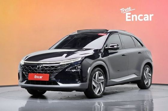 Hyundai Nexo Premium — пробег 69 489 км — фото 1 из 5