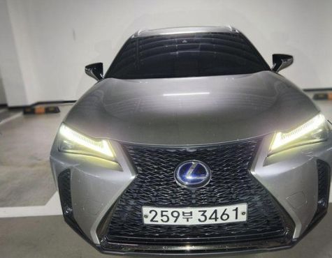 Lexus UX 2.0 F-Sport 2WD — пробег 209 371 км — фото 1 из 5