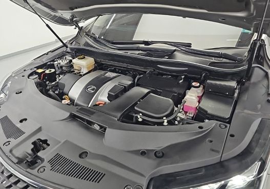 Lexus RX Executive — пробег 38 522 км — фото 5 из 5