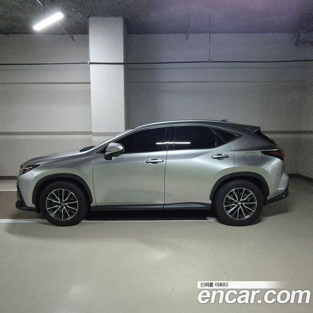Lexus NX Premium — пробег 17 600 км — фото 2 из 5