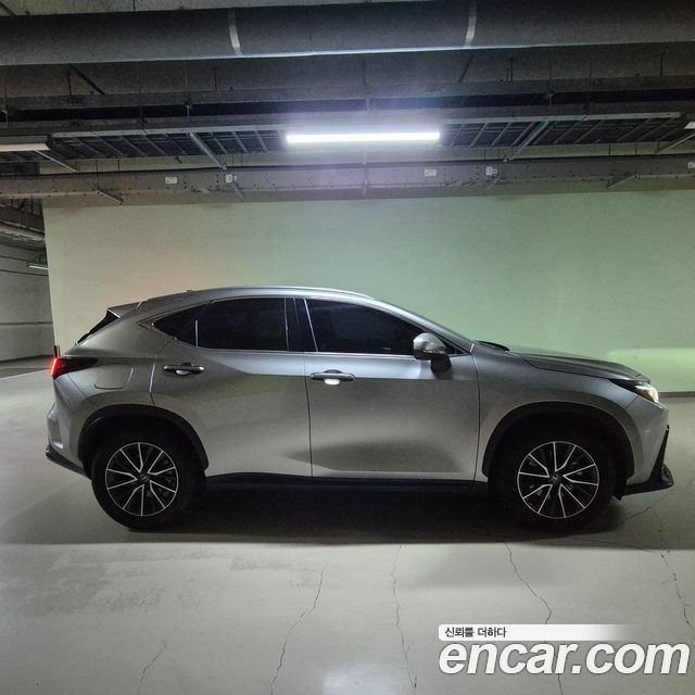 Lexus NX Premium — пробег 17 600 км — фото 3 из 5