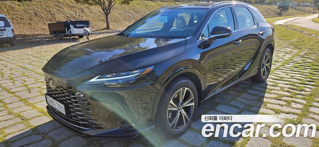 Lexus RX Premium — пробег 3 км — фото 2 из 5