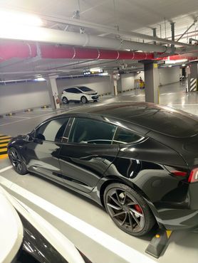 Tesla Model 3 Performance AWD — пробег 45 899 км — фото 2 из 5