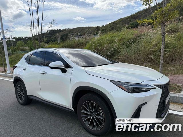 Lexus NX Premium — пробег 55 500 км — фото 1 из 5