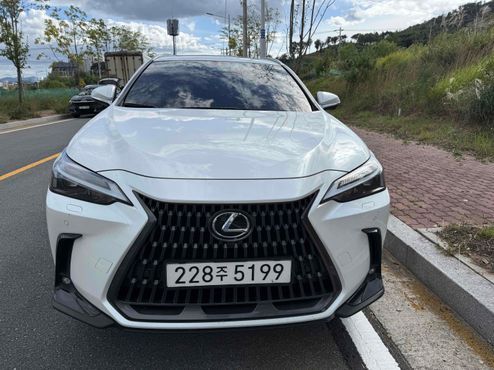 Lexus NX Premium — пробег 55 500 км — фото 2 из 5