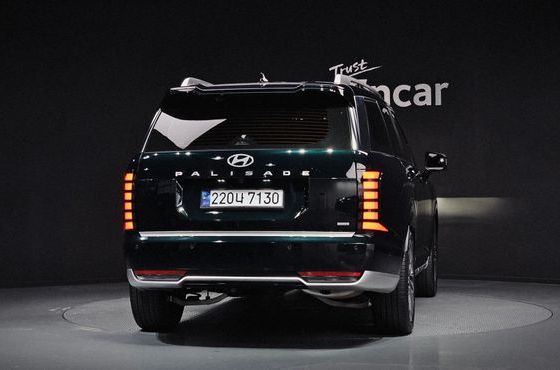 Hyundai Palisade Gasoline 2.5T 4WD 7-Seater Calligraphy — пробег 20 213 км — фото 4 из 5