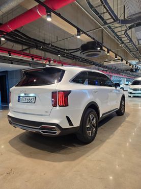 Kia Sorento HEV 1.6 2WD Signature — пробег 60 000 км — фото 5 из 5