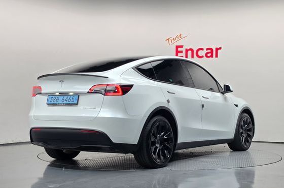 Tesla Model Y Long Range AWD — пробег 50 543 км — фото 2 из 5