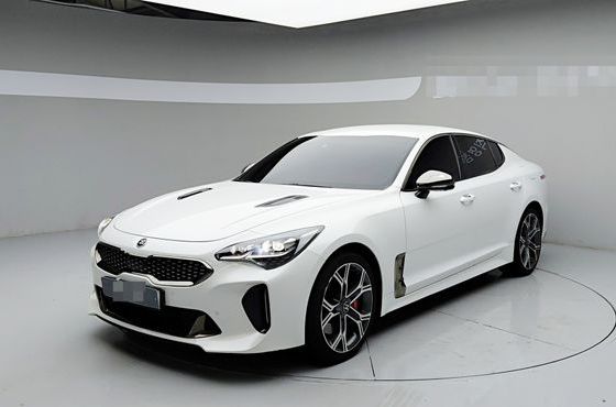 Kia Stinger 2.0 Turbo AWD Platinum — пробег 83 776 км — фото 1 из 5