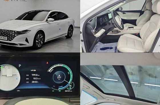 Hyundai Grandeur Le Blanc — пробег 54 139 км — фото 1 из 5