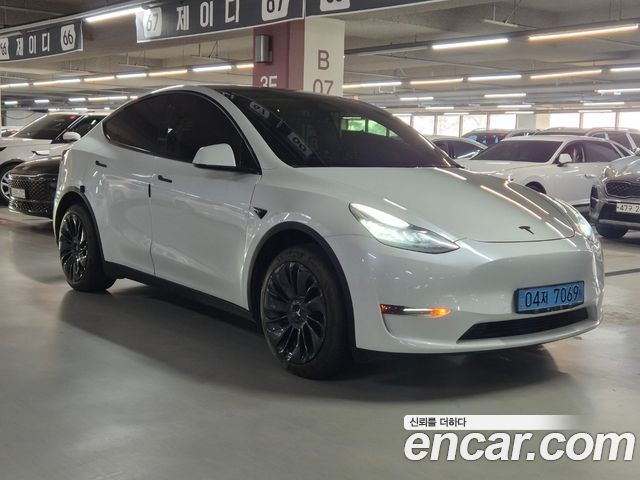 Tesla Model Y Long Range AWD — пробег 90 157 км — фото 1 из 5