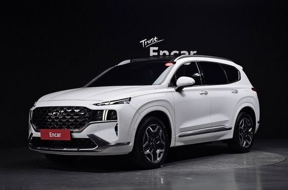 Hyundai Santafe HEV 1.6 2WD Calligraphy — пробег 52 895 км — фото 1 из 5