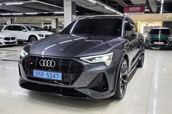 Audi e-tron S — пробег 28 196 км — фото 1 из 5