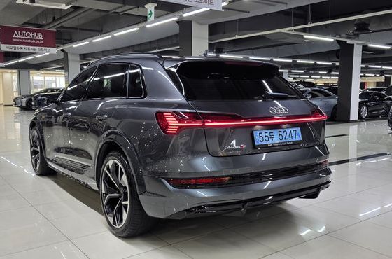 Audi e-tron S — пробег 28 196 км — фото 5 из 5