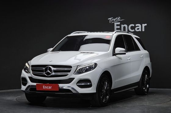 Mercedes-Benz GLE-Class GLE250 d 4MATIC — пробег 233 430 км — фото 1 из 5