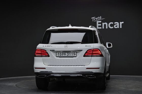 Mercedes-Benz GLE-Class GLE250 d 4MATIC — пробег 233 430 км — фото 4 из 5