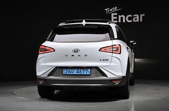 Hyundai Nexo Premium — пробег 117 447 км — фото 4 из 5