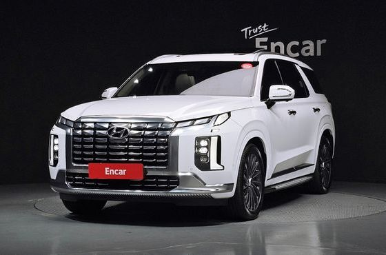 Hyundai Palisade Diesel 2.2 4WD Calligraphy — пробег 32 767 км — фото 1 из 5