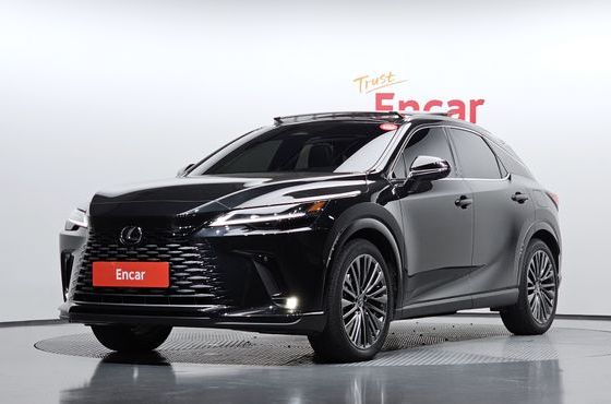 Lexus RX Luxury — пробег 9 038 км — фото 1 из 5