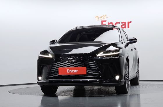 Lexus RX Luxury — пробег 9 038 км — фото 3 из 5